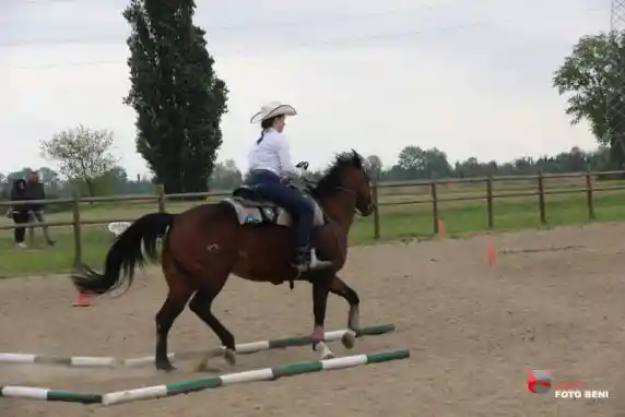 Click to enlarge image img_0387.jpg