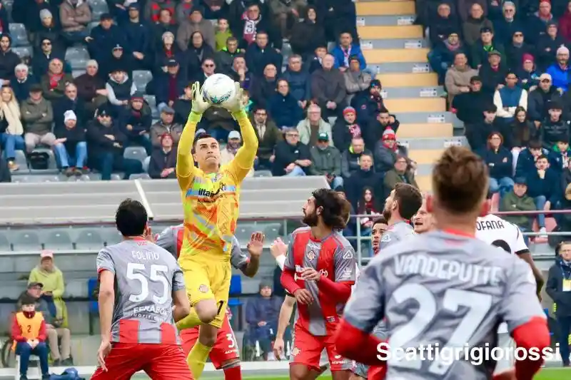 coverimage articleimage