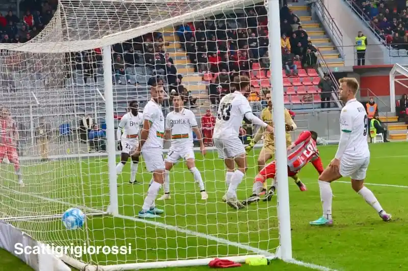 Cremonese-Venezia negli Scatti Grigiorossi: nuova infornata di foto