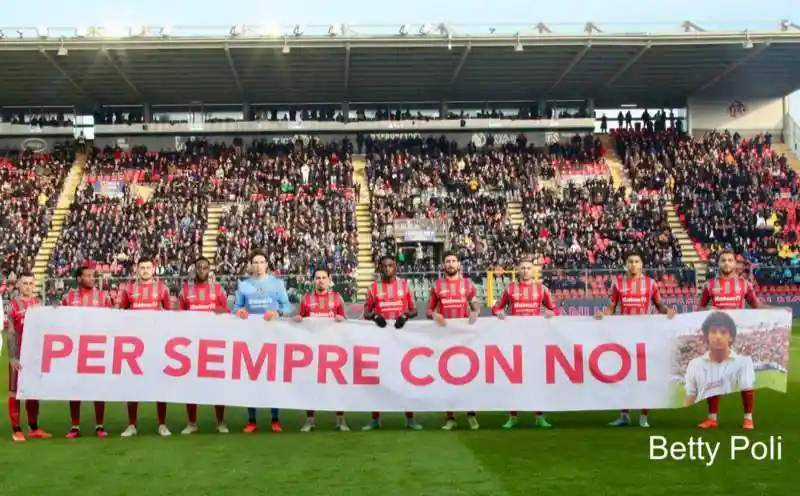 coverimage articleimage