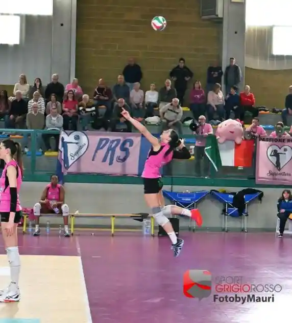 Click to enlarge image dsc_2471.jpg