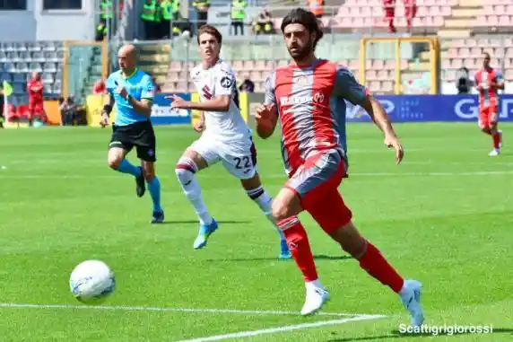 Click to enlarge image 532a7256.jpg