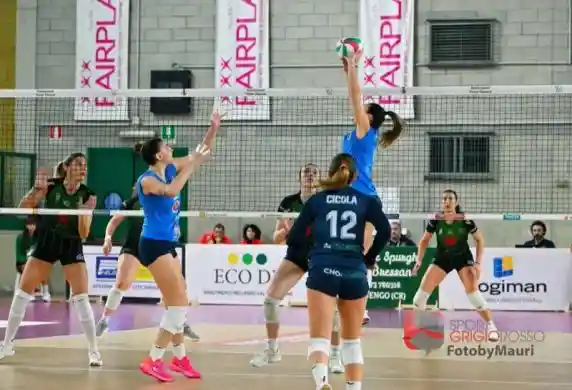 Click to enlarge image dsc_7445.jpg