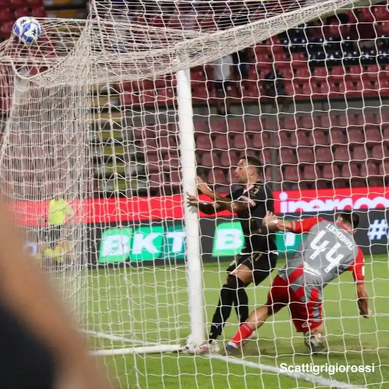 Cremonese-Palermo negli Scatti Grigiorossi