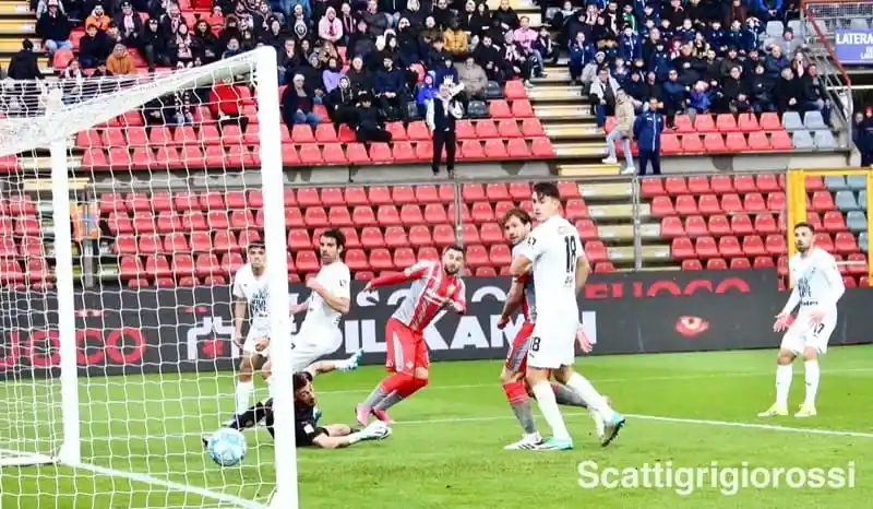 Cremonese-Palermo negli Scatti Grigiorossi