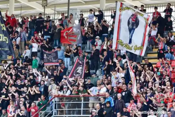 Click to enlarge image 532a6690.jpg