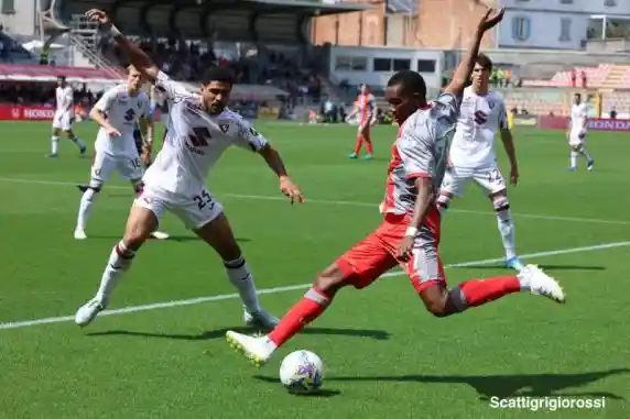 Click to enlarge image 532a7209.jpg