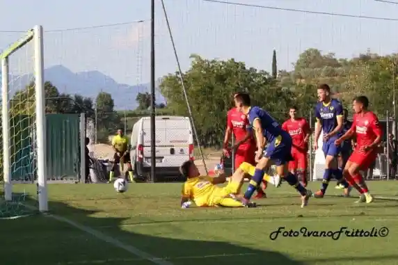 Click to enlarge image 1-rete-lasagna-hellasverona-cremonese-4-3-amich-30-07-22-_088_-_copia.jpg