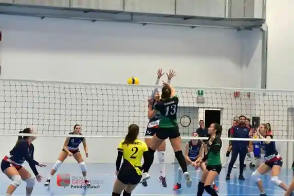 Click to enlarge image DSC_2685_00001.jpg