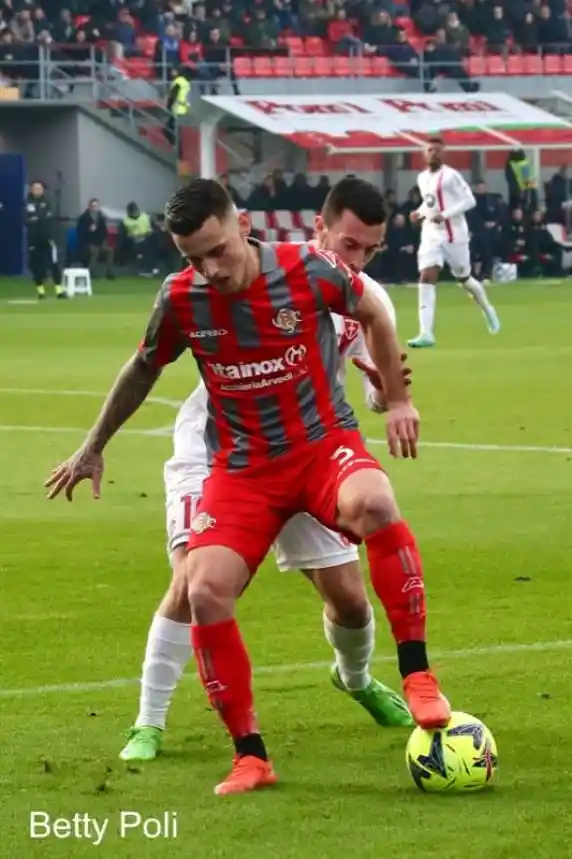 Click to enlarge image c42i6407.jpg