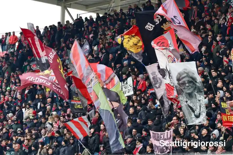 coverimage articleimage